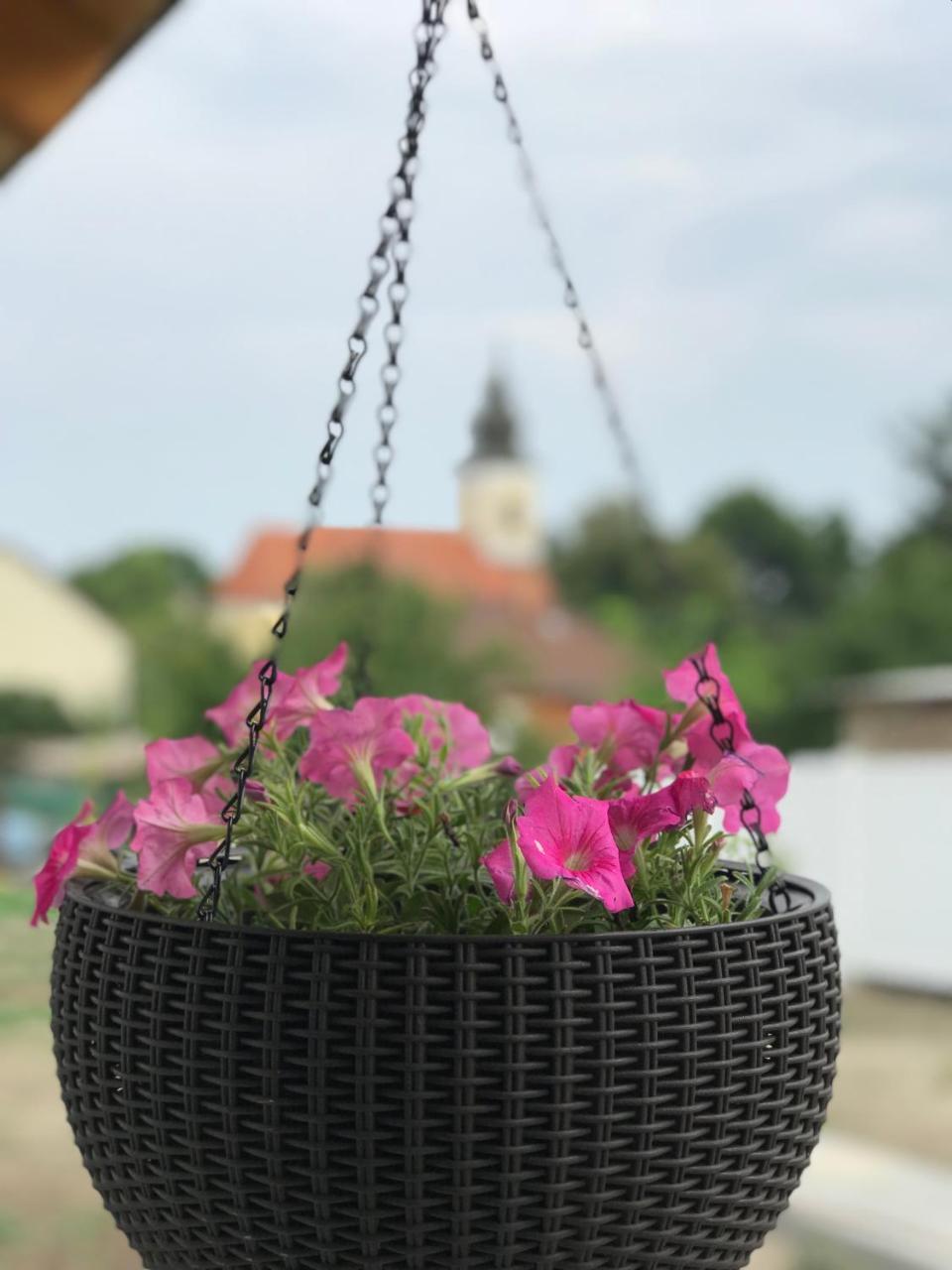 Szép Napot Vendégház Hotel Tordas Kültér fotó
