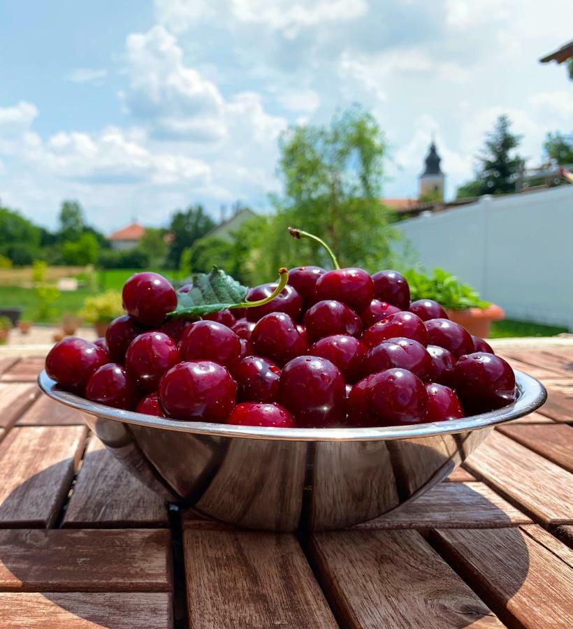 Szép Napot Vendégház Hotel Tordas Kültér fotó